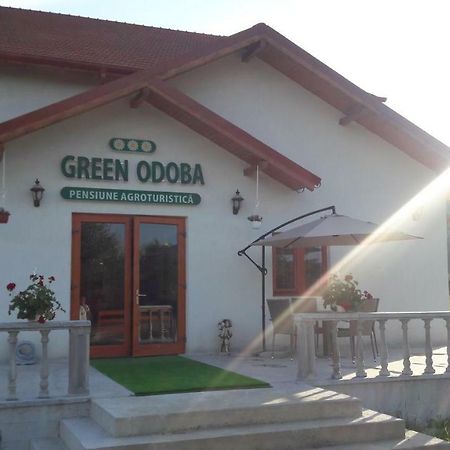 Pensiunea Agroturistica Green Odoba Satuc ภายนอก รูปภาพ