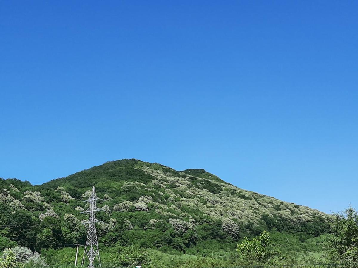 Pensiunea Agroturistica Green Odoba Satuc ภายนอก รูปภาพ