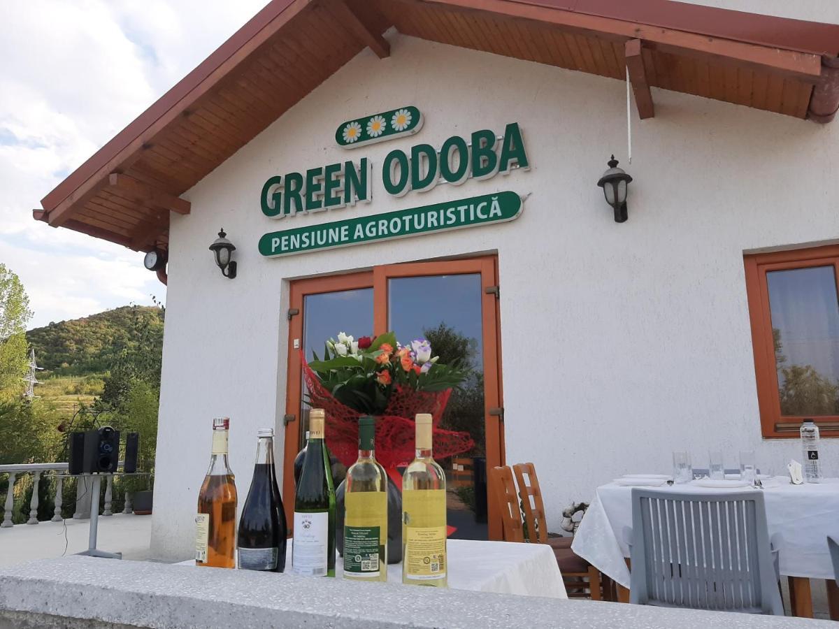 Pensiunea Agroturistica Green Odoba Satuc ภายนอก รูปภาพ