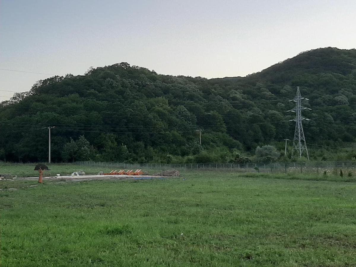 Pensiunea Agroturistica Green Odoba Satuc ภายนอก รูปภาพ