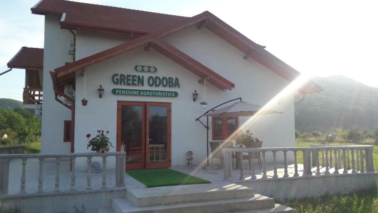 Pensiunea Agroturistica Green Odoba Satuc ภายนอก รูปภาพ