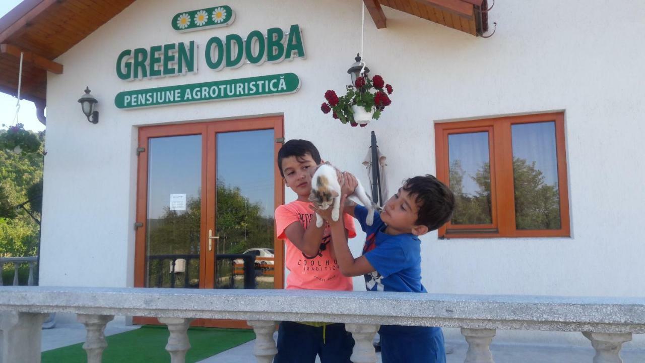 Pensiunea Agroturistica Green Odoba Satuc ภายนอก รูปภาพ